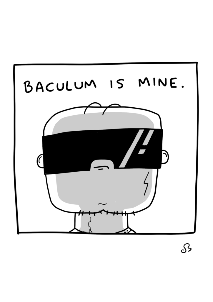 Captain Baculum page 65
